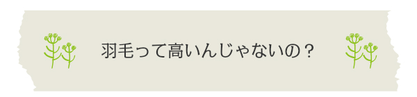 でも、羽毛布団って高いんじゃないの