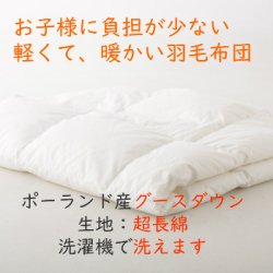 画像1: 【ポーランド産グースダウン93%】羽毛のベビー肌掛布団