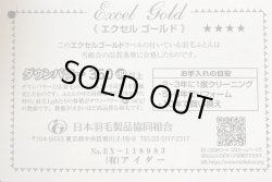 画像10: アウトレット羽毛布団冬掛シングル・ハンガリーグースダウン90%