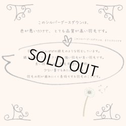 画像5: 銀色の羽毛の羽毛布団/シングルサイズ150x210cm