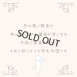 画像1: 銀色の羽毛の羽毛布団/シングルサイズ150x210cm