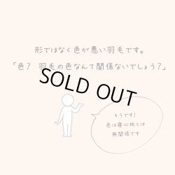 画像3: 銀色の羽毛の羽毛布団/シングルサイズ150x210cm