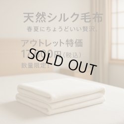 画像1: 【数量38枚限定・アウトレット特価】天然シルク毛布