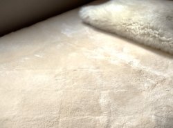 画像6: 「ザ・ムートン」プレミアムオーバレイ