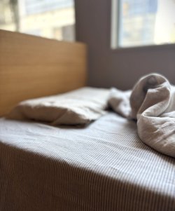 画像2: ［アウトレット数量限定］麻（リネン）100%ボーダーのフラットシーツ150x250cm