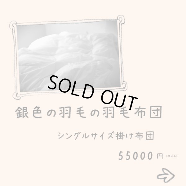画像7: 銀色の羽毛の羽毛布団/シングルサイズ150x210cm