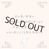 画像: 銀色の羽毛の羽毛布団/シングルサイズ150x210cm