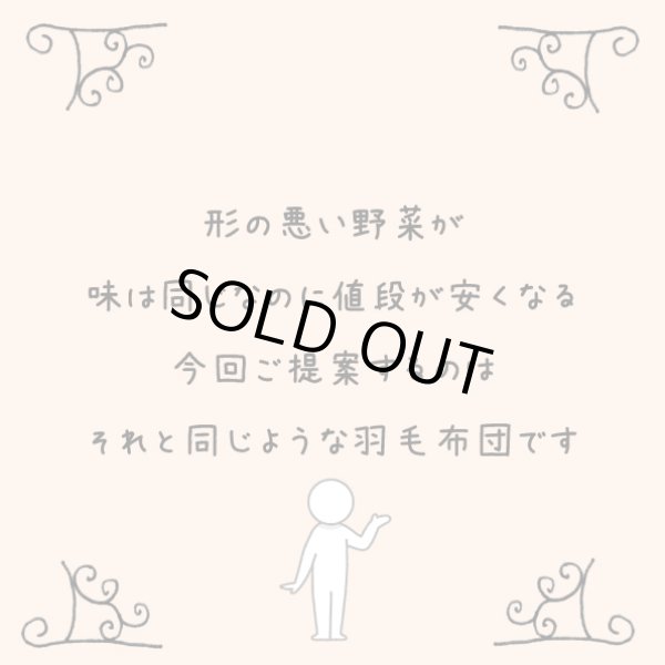 画像1: 銀色の羽毛の羽毛布団/シングルサイズ150x210cm