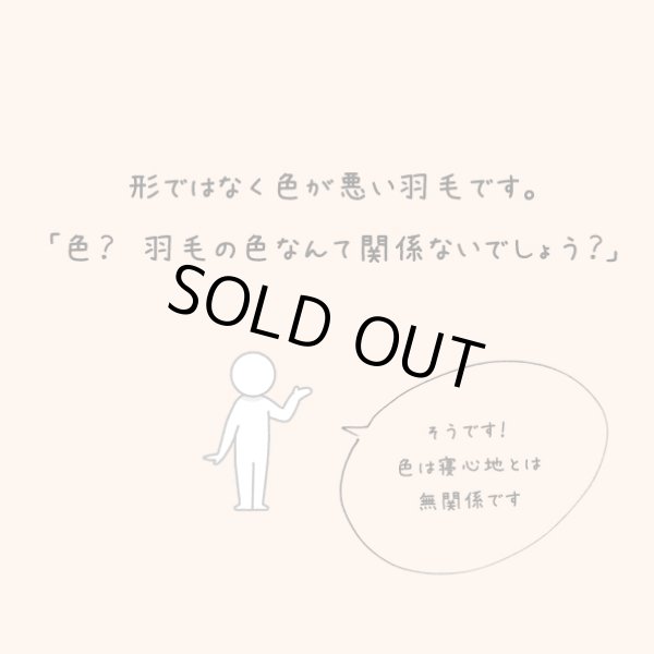 画像3: 銀色の羽毛の羽毛布団/シングルサイズ150x210cm