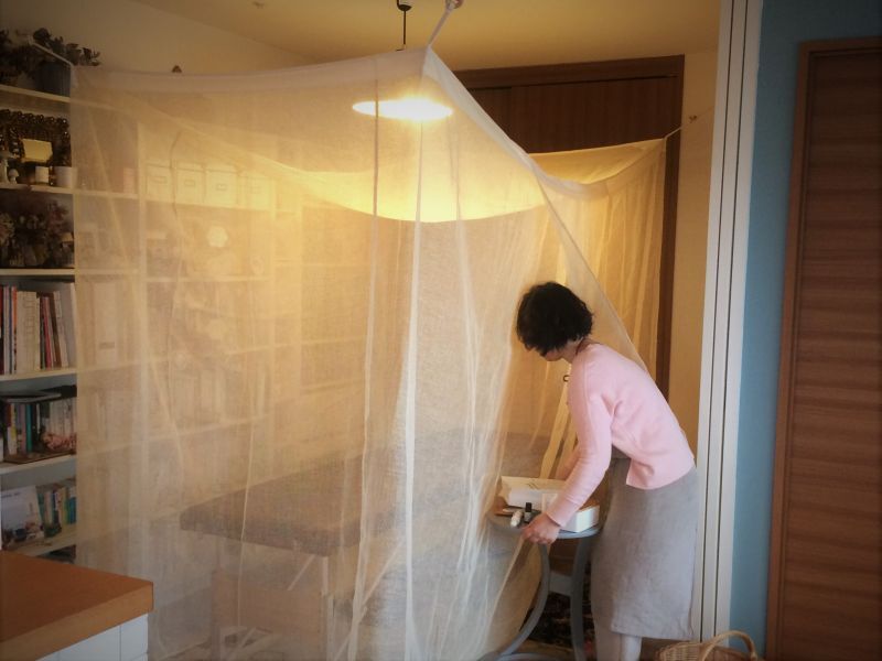画像2: ヘンプの蚊帳　ベッド用